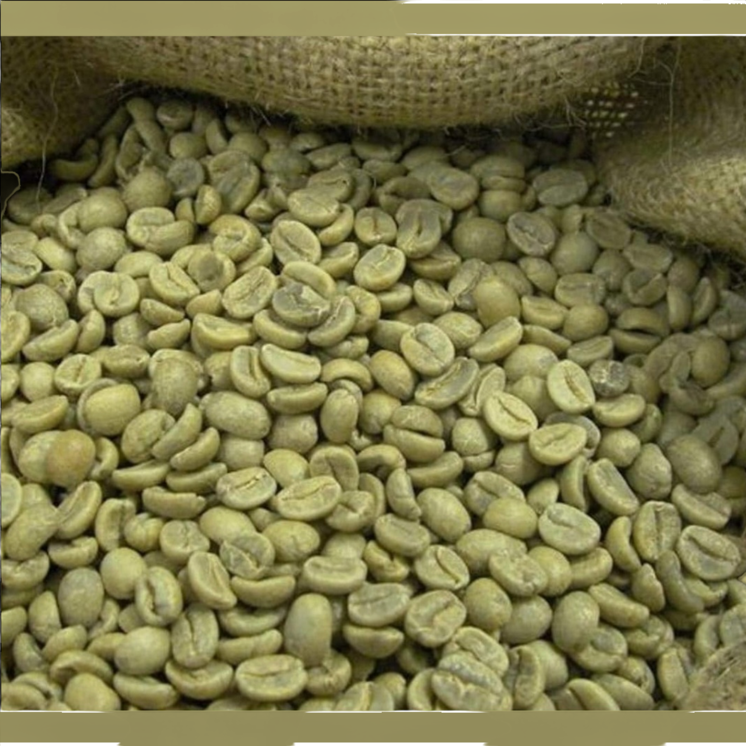 Café-Ingrediente Café en grano verde