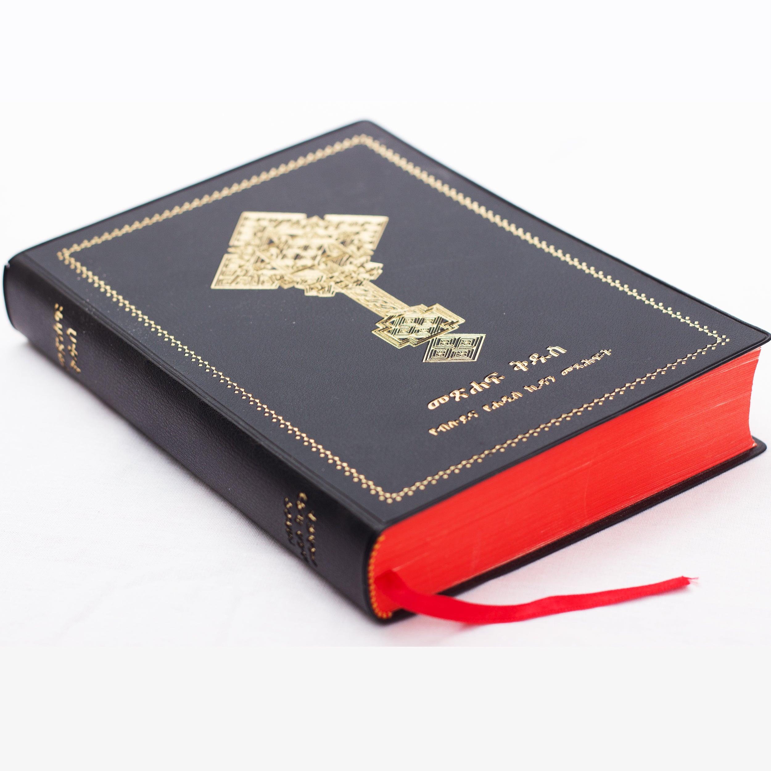 Amharic Bible 81 books